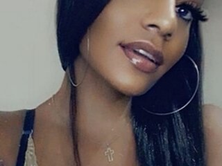 Transex BH
